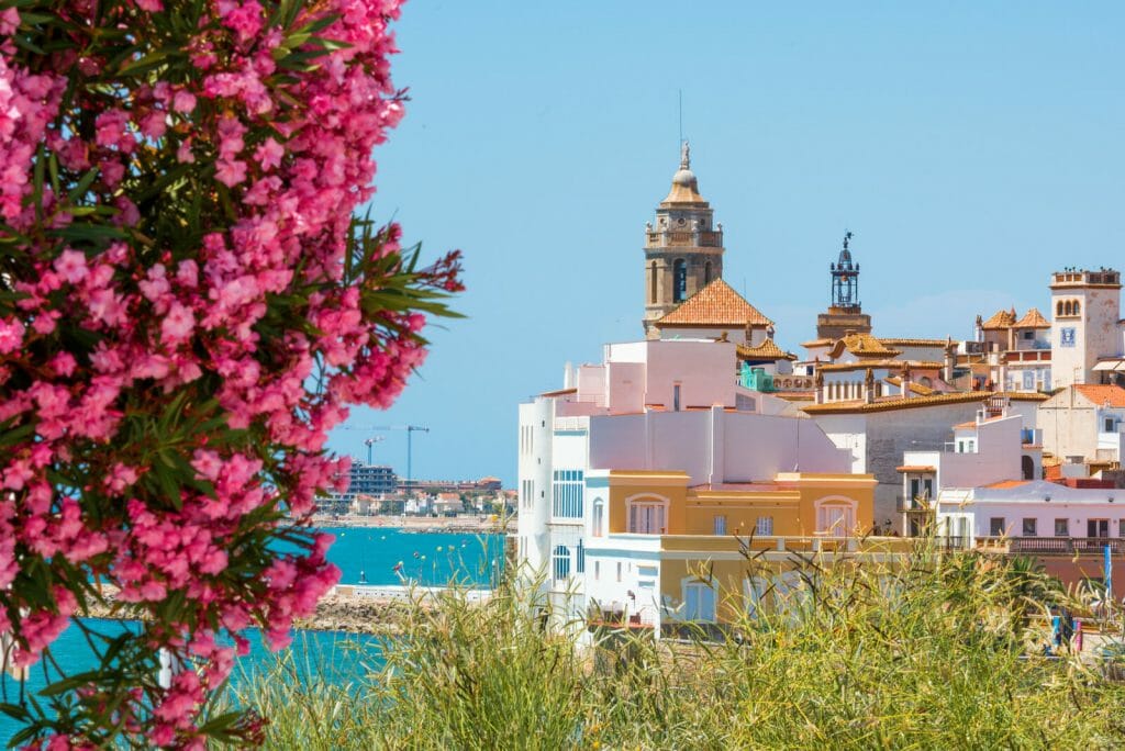 Blooming Oleander against the background of the historical center in the Sitges, Barcelona, Catalunya, Spain. Copy space for text.