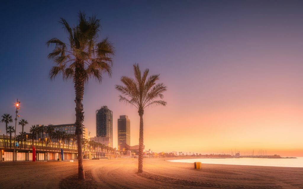 Dramatic sunset on Barceloneta beach of Barcelona with palm in the foreground, Spain