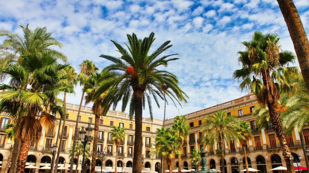 palm trees and yellow buildings around Plaça Reial square at the Gothic quarter of Barcelona in Spain. View of the old Plaça Reial town square or plaza showing the traditional architecture of the Spanish Barcelona