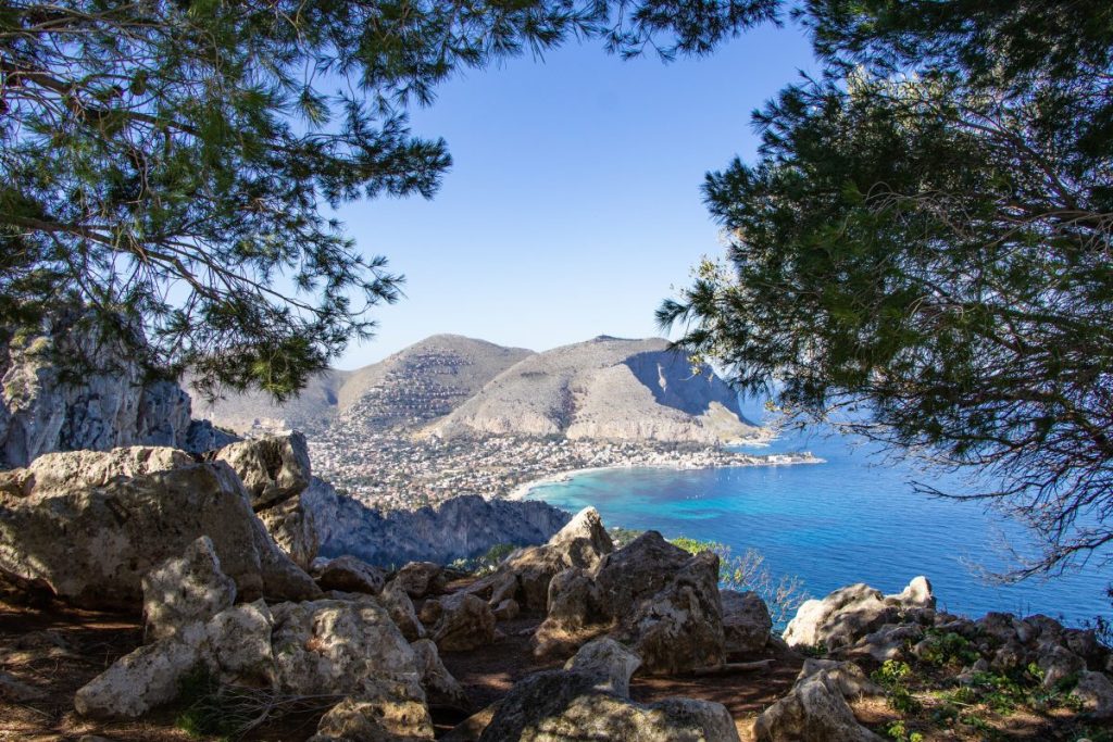 view from a hiking path shaded under pine trees over the golf of mondello near palermo sicily