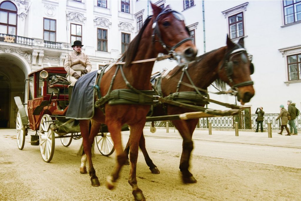Schonbrunn Palace Horse Carriage in Vienna Austria