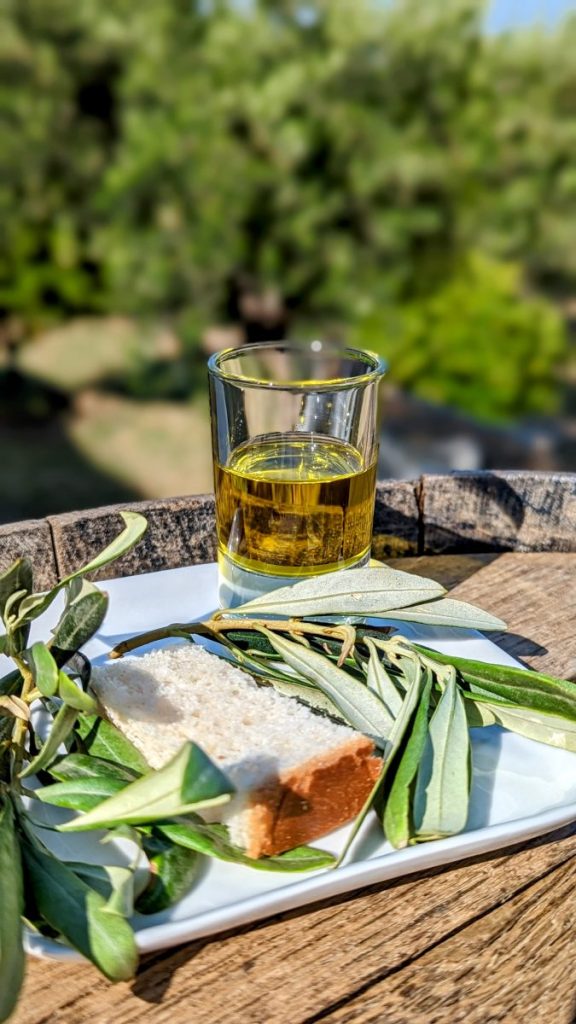 olive oil tasting at Kourtesis Winery near Chora Andros